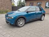 Citroën C4 Cactus PureTech Feel - Zahnriemen,Bremsen neu