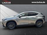 Lexus NX 350 h 243 PS Executive Inter ieur Paket + Tec - silberne Lexus NX 350h