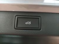 Skoda Kamiq - Vorschau Bild 11