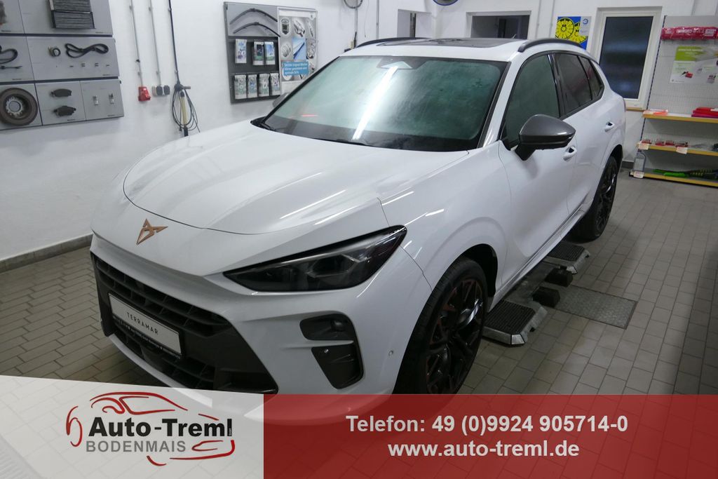 Cupra Terramar