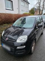 Fiat Panda 1.Hand Privat - Fiat Panda Gebrauchtwagen in Duisburg
