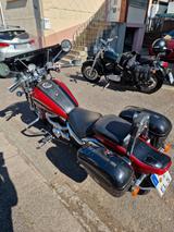 Suzuki VZ 800 Marauder - Offers matching your search criteria