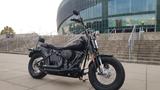 Harley-Davidson FLSTSB Cross Bones - CHOPPER CRO