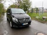 Mercedes-Benz V 250 d Aut. AVANTGARDE extralang  - Mercedes-Benz V-Klasse Gebrauchtwagen in Bonn