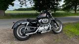 Harley-Davidson Sportster 883 - Offers matching your search criteria