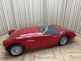 Austin Healey 100/4 BN2 Roadster / 1956 / 4-Speed Overdrive / - Austin Healey Gebrauchtwagen