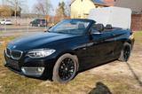 BMW 220i Cabrio Luxury Line - BMW 220 von privat