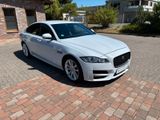 Jaguar XF R-Sport+R-Sport+Leder+Navi+Bi-Xenon+ - Jaguar XF: Weiß