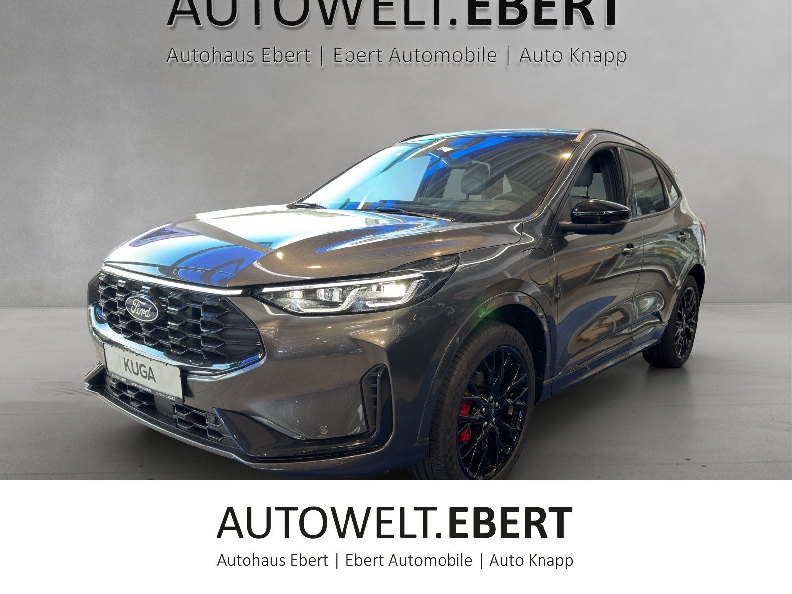 Ford Kuga Sound Edition 20Zoll Pano Dach LED Matrix