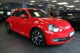 Volkswagen Beetle 1.2 TSI Design - Volkswagen Beetle: Rot