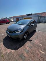 Honda Jazz 1.5 i-MMD Hybrid Executive  - Honda Jazz in Solingen