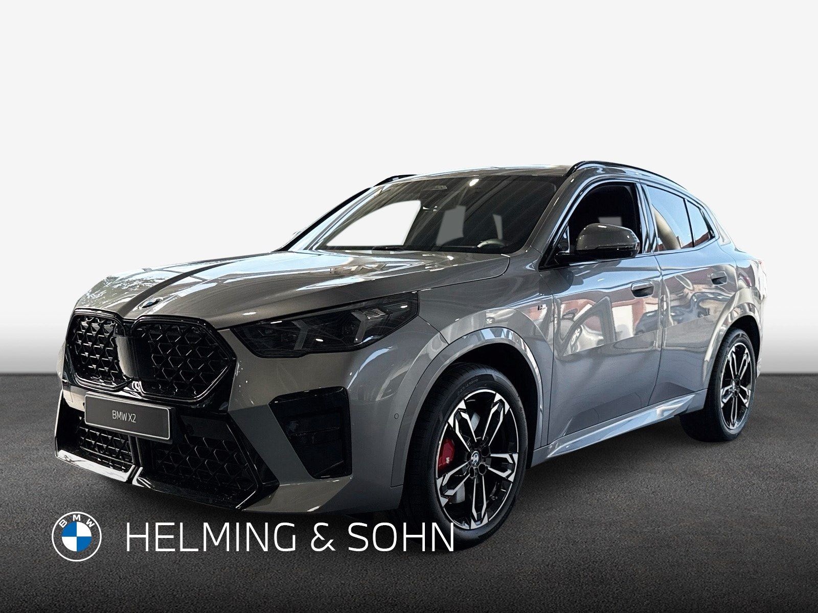BMW X2 sDrive20i M Sportpaket Head-Up HK HiFi DAB