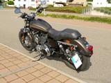 Harley-Davidson Sportster XL Custom 1200 Don Performance Mapping - HARLEY-DAVIDSON SPORTSTER 1200 CUSTOM