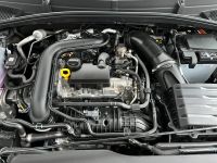 SKODA Fabia 1.0 TSI DSG Monte Carlo SHZ KAM 16