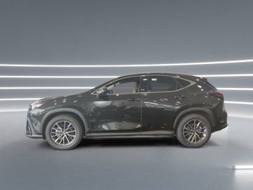 Lexus NX 350h - 2