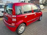 Fiat Panda 1.2 Classic*Klima*ZV*Servo*ATM mit 61tkm - Fiat Panda aus 2011: Allradantrieb