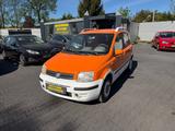 Fiat Panda 1.2 8V Alessi Klimaanlage - Fiat Panda Gebrauchtwagen in Bielefeld