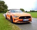 Ford Mustang GT 5.0 V8 ,Cabrio  500 PS Sc... - Ford Mustang: Cabrio, Gt500