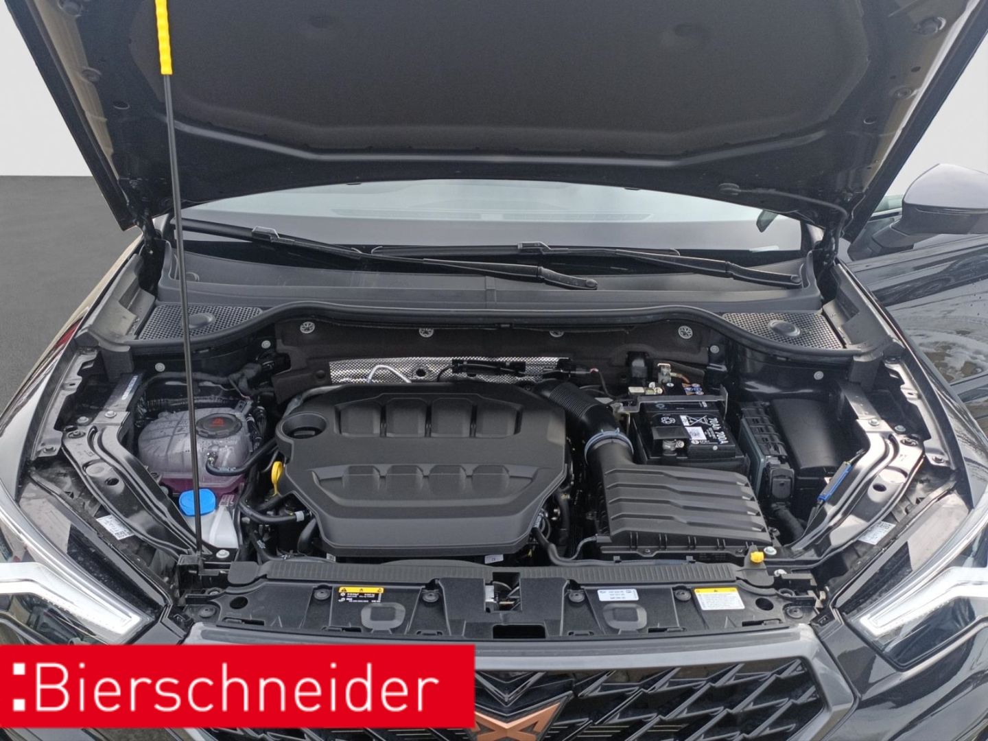 Cupra Ateca - Bild 26