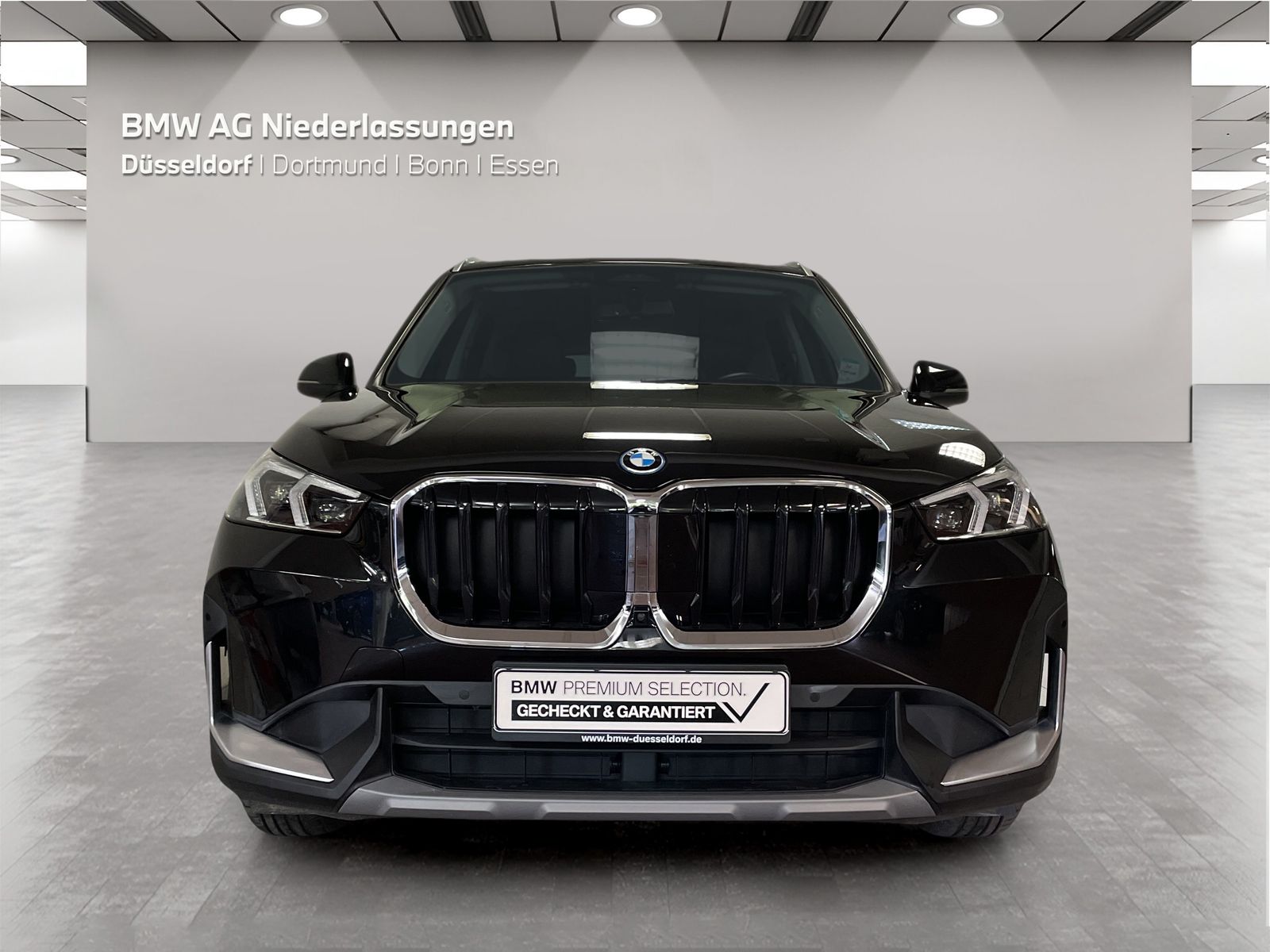 BMW X1 xDrive25e Driv.Assist Harman K Head-Up LED foto 6