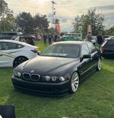 BMW E39 535i V8 | TÜV neu | Vollausstattun... - BMW 535: 535i E39