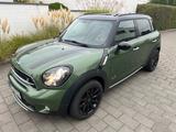 MINI Mini Cooper S / Allrad Panoramadach Navi S... - MINI MINI: Panoramadach