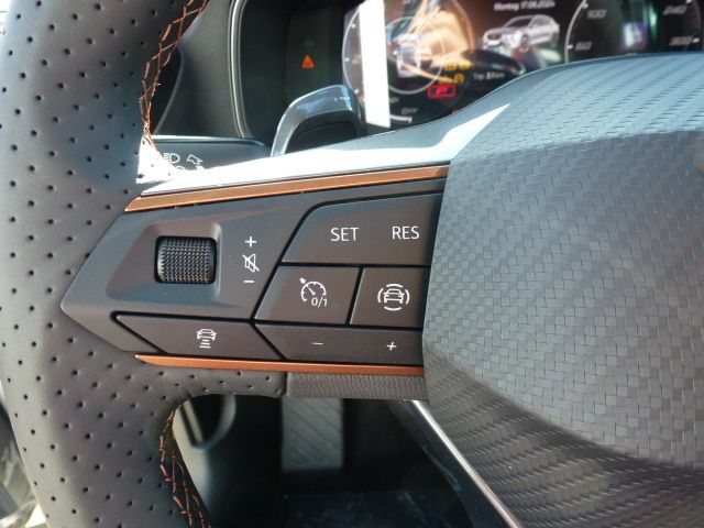 Fahrzeugabbildung CUPRA Formentor 1.5 TSI DSG + SHZ + Allwetter