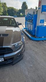 Ford Mustang Shelby GT 500 5.8 - Ford Mustang aus 2012: Shelby