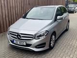 Mercedes-Benz B 220 B -Klasse B 220 4Matic 7G Automatik - Mercedes-Benz: Sitzheizung