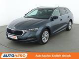 Skoda Octavia 2.0 TDI First Edition  Aut.*ACC*PDC*SHZ* - Skoda Octavia Gebrauchtwagen in Augsburg