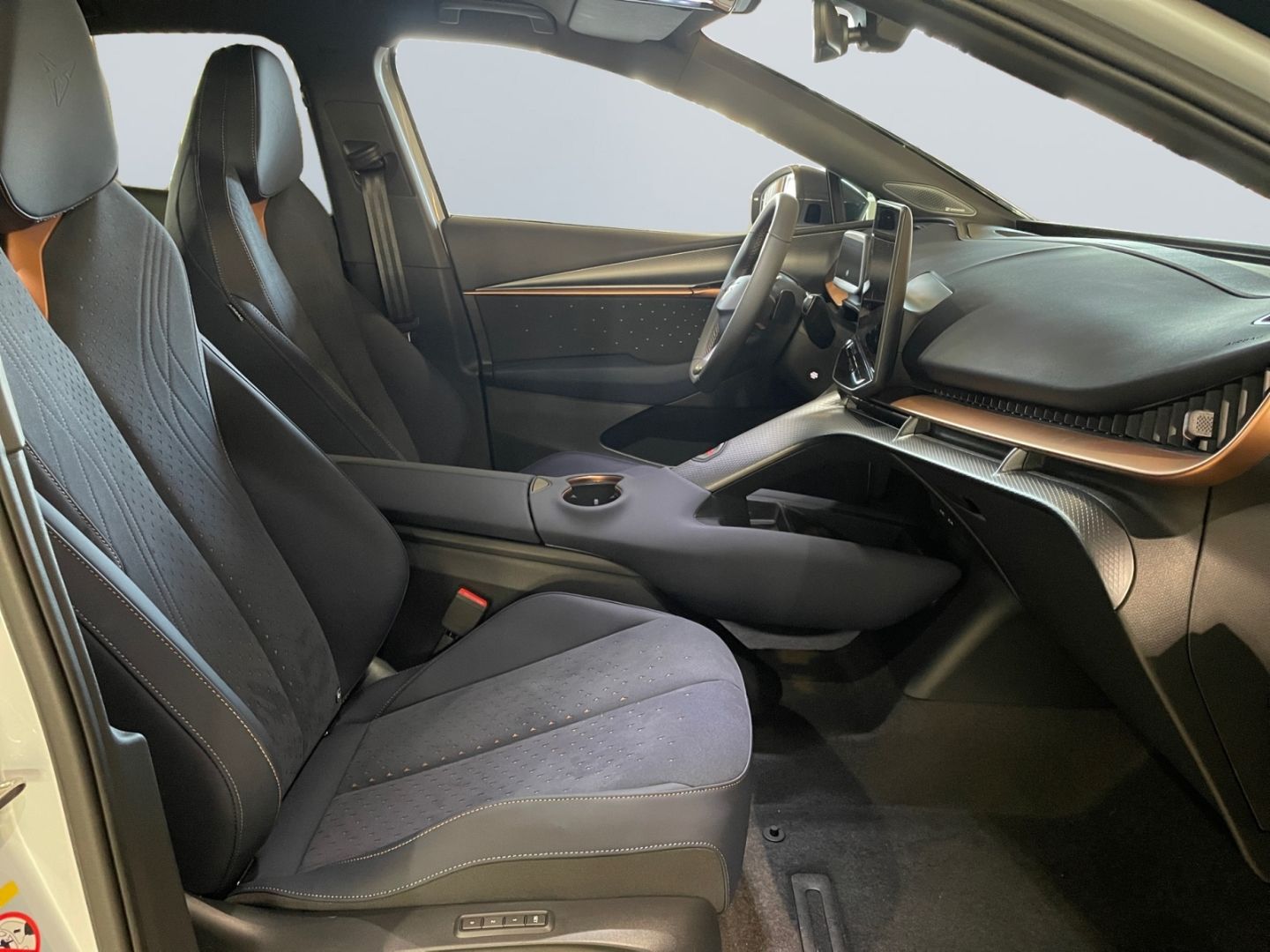 Cupra Tavascan - Bild 19