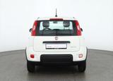 Fiat Panda 1.0 Mild Hybrid Klima Bluetooth DAB USB - Fiat Panda mit Hybrid-Antrieb