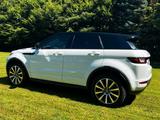 Land Rover Range Rover Evoque HSE Dynamic BLACK-PACK-PANO - Land Rover Range Rover Evoque: Black