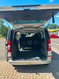 Mercedes Viano - 5