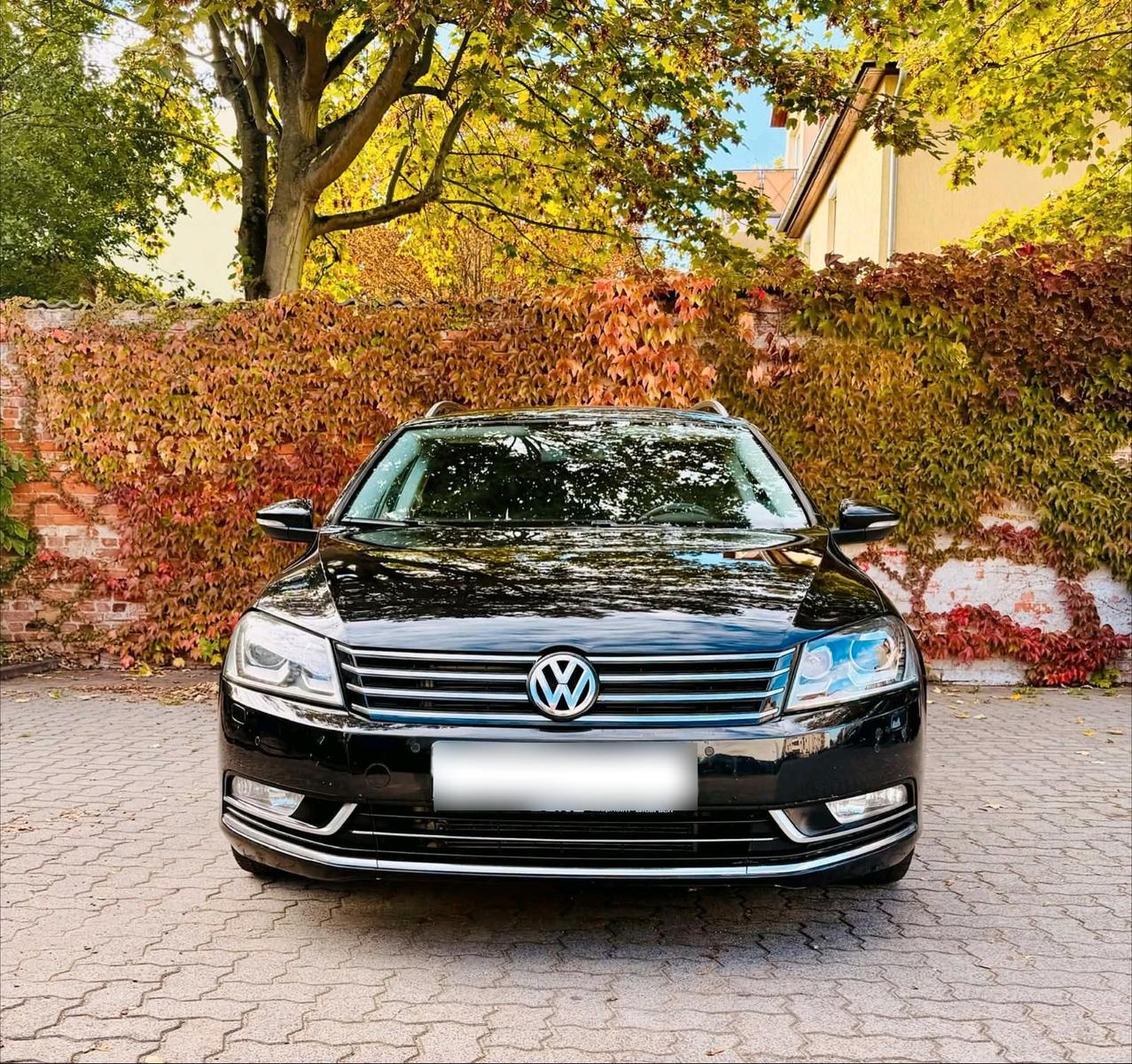 Volkswagen Passat 2011 — interior
