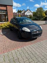 Fiat Punto 1.2 (Super Zustand) TÜV - Fiat Punto in Bochum