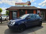 Volkswagen Polo IV Basis*TÜV 02.2027*KLIMA* 8 FACH BEREIFT* - Volkswagen Polo aus 2003 mit Benzin-Antrieb: Kleinwagen, Klimaanlage