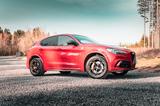 Alfa Romeo Stelvio Quadrifoglio (Akrapovic, Pano, AHK) - Alfa Romeo Stelvio von privat