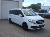 Mercedes-Benz V 300d EDITION 4MATIC Lang 9G-Tronic*AHK*LED*KAM - gebrauchte Vans in Halle