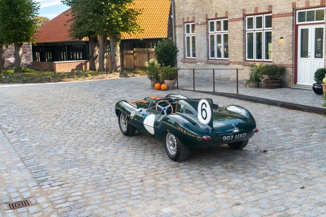 Jaguar D-Type 3,8 Roadster - Replica