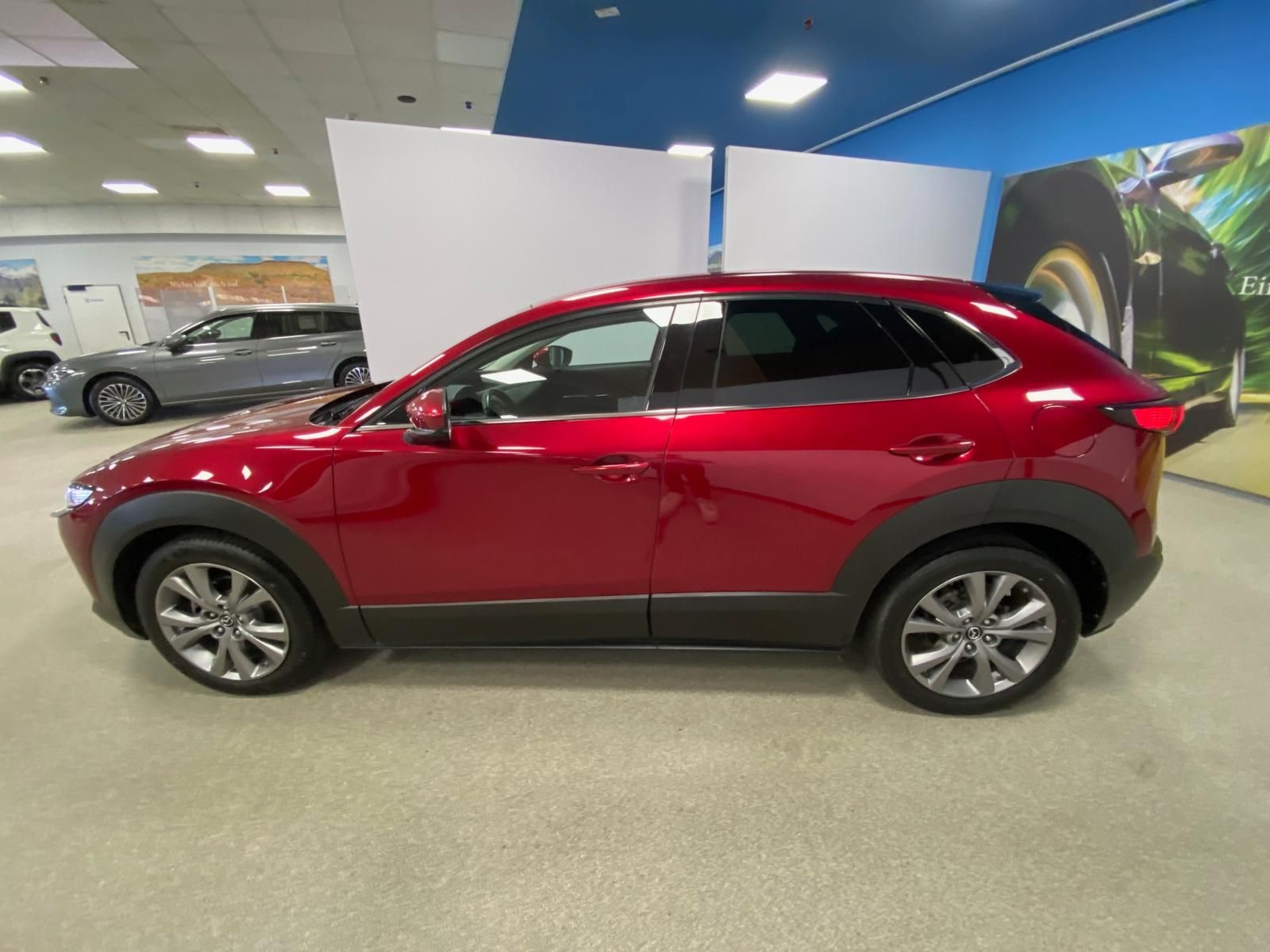 Fahrzeugabbildung Mazda CX-30 APP+KLIMA+RFK+PDC+NAVI+SITZHEIZ+Head-Up+An