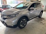 Honda CR-V 1.5 T 4WD Executive Panorama HUD  "19  1.HD - Honda CR-V mit Benzin-Antrieb: Automatik
