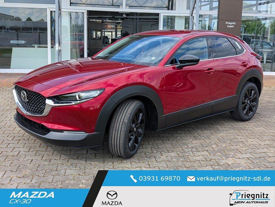 Mazda CX-30 CX-30 5WGN 2.5L e-SKYACTIV G 140ps 6AT F