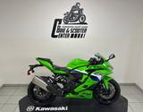 Kawasaki Ninja ZX-4RR Modell 2026 - SOFORT Verfügbar - Angebote