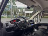 Fiat Ducato Kasten /// 30 130 L2H1 RS: 3450 mm 2.Hand - Fiat Ducato: L3h2