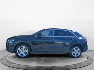 Audi Q8 - 2