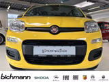 Fiat Pandina ICON 1.0 Klima PDC DAB USB teilb.Rücksb  - scheckheftgepflegte Fiat New Panda
