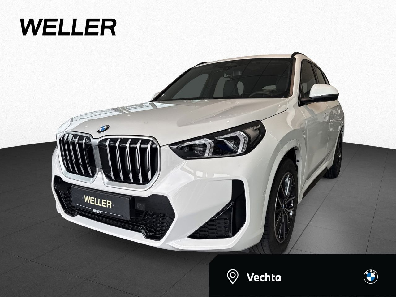 BMW X1 20d M SPORT AktivSi,AHK,Pano,AdLED,H/K,St+Go