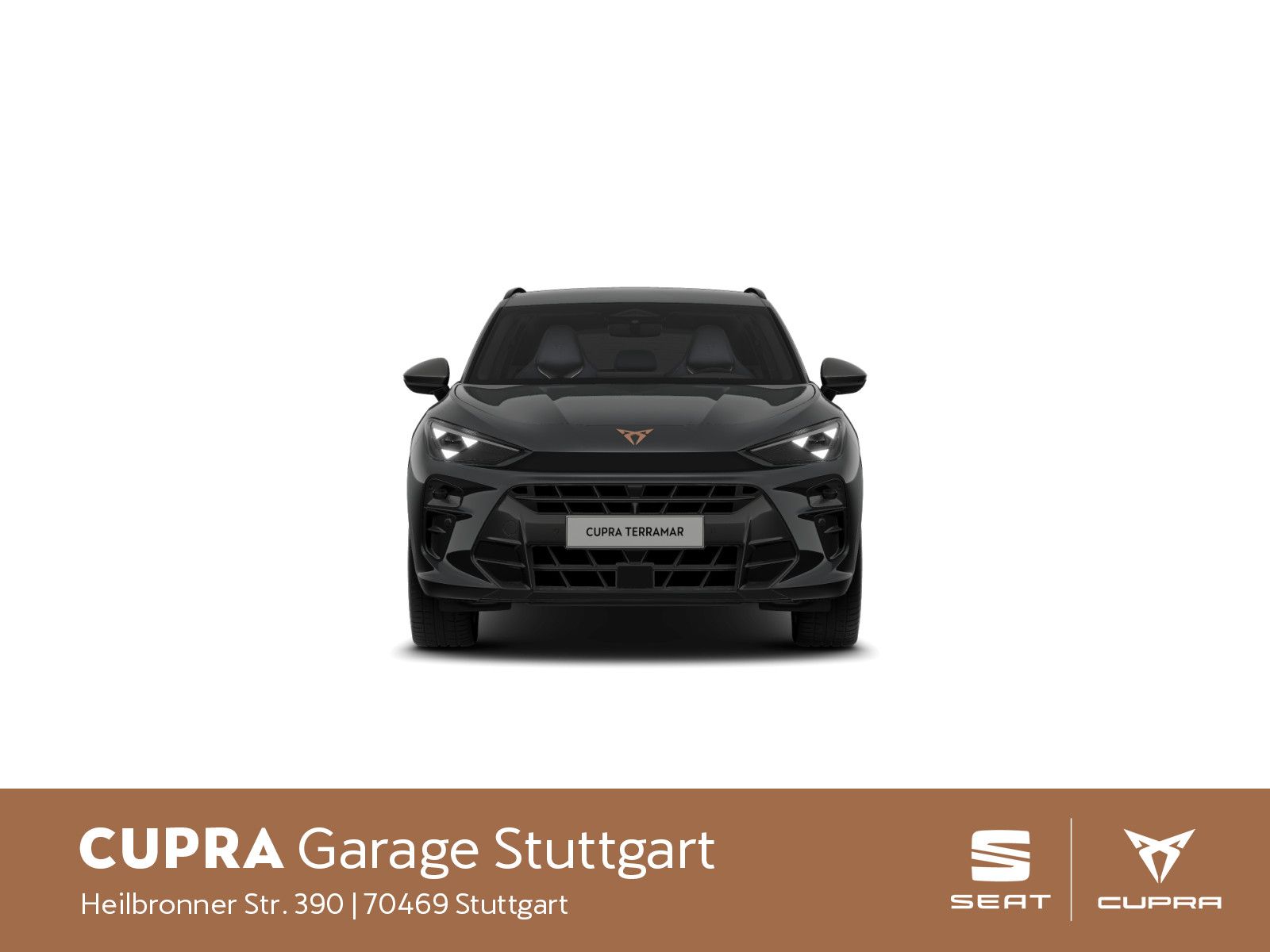 Cupra Terramar - Bild 2