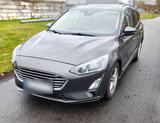 Ford Sparsamer Ford Focus - Sparsame mit Diesel-Antrieb
